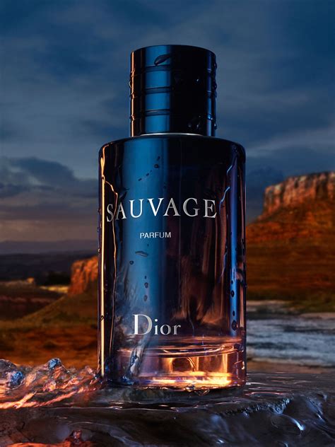 prix eau de parfum sauvage dior|dior sauvage for men 200ml.